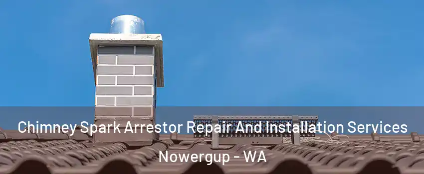 Chimney Spark Arrestor Repair And Installation Services Nowergup - WA