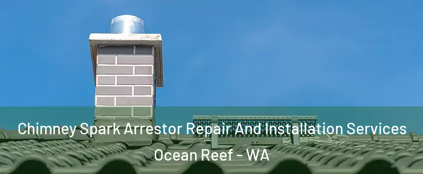 Chimney Spark Arrestor Repair And Installation Services Ocean Reef - WA