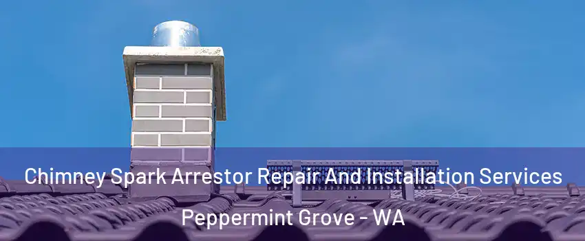Chimney Spark Arrestor Repair And Installation Services Peppermint Grove - WA