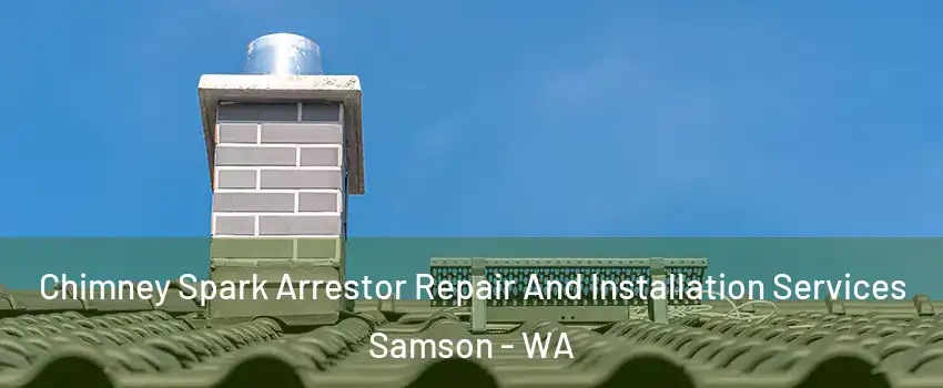 Chimney Spark Arrestor Repair And Installation Services Samson - WA