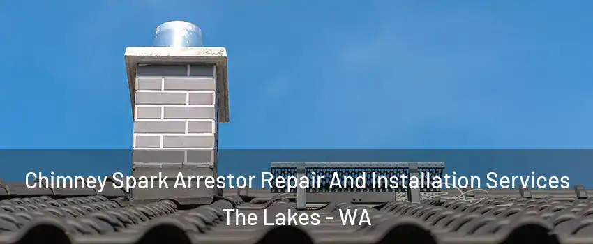 Chimney Spark Arrestor Repair And Installation Services The Lakes - WA