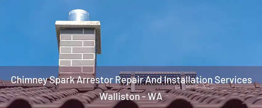 Chimney Spark Arrestor Repair And Installation Services Walliston - WA