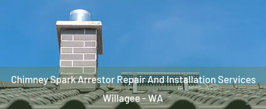 Chimney Spark Arrestor Repair And Installation Services Willagee - WA