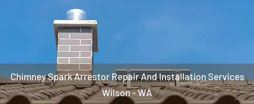 Chimney Spark Arrestor Repair And Installation Services Wilson - WA