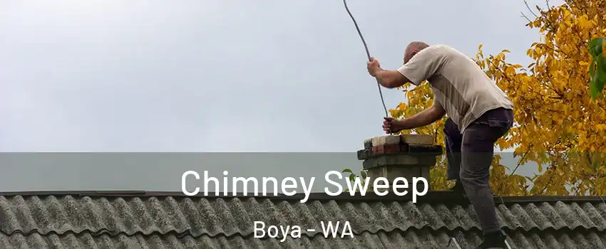 Chimney Sweep Boya - WA