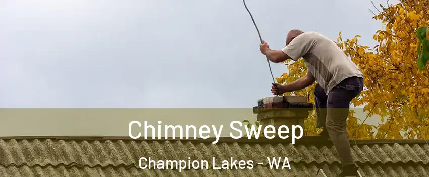 Chimney Sweep Champion Lakes - WA