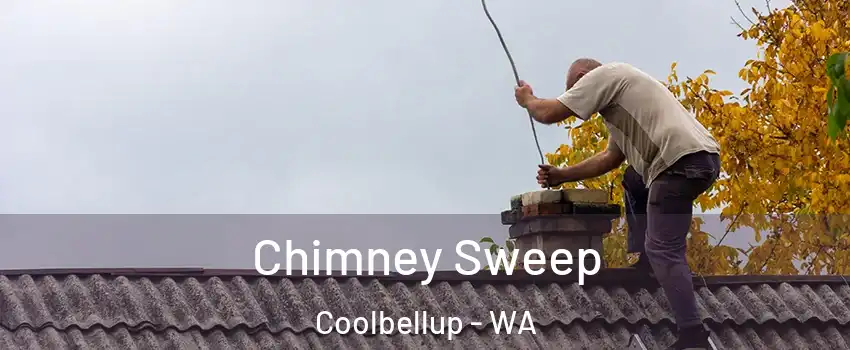 Chimney Sweep Coolbellup - WA