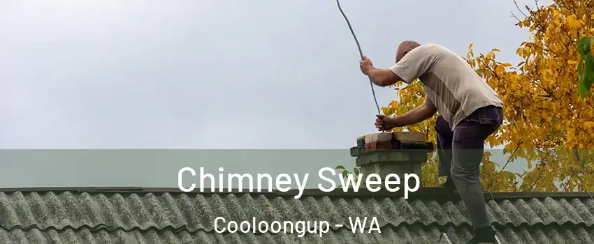 Chimney Sweep Cooloongup - WA