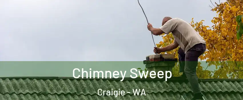 Chimney Sweep Craigie - WA