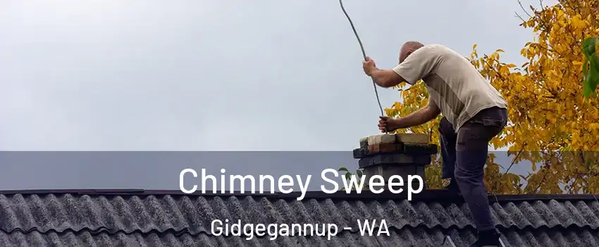 Chimney Sweep Gidgegannup - WA