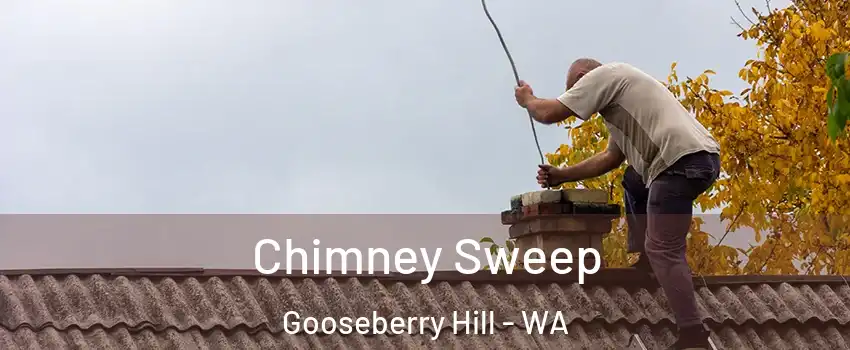 Chimney Sweep Gooseberry Hill - WA