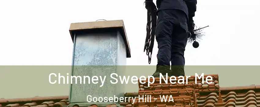 Chimney Sweep Near Me Gooseberry Hill - WA