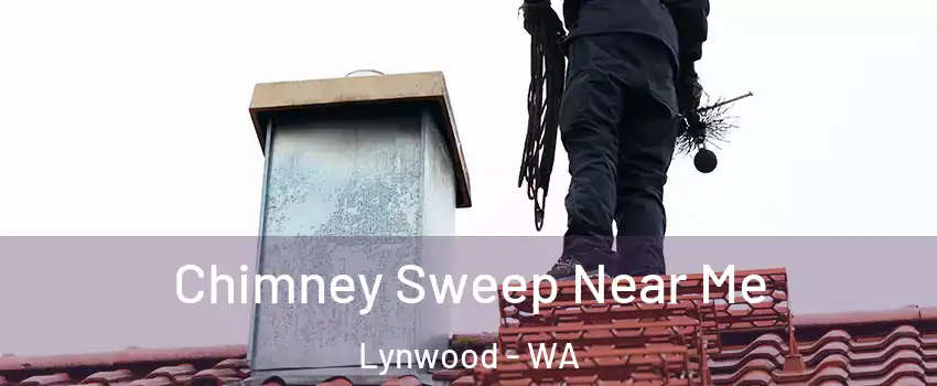 Chimney Sweep Near Me Lynwood - WA