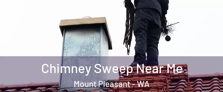 Chimney Sweep Near Me Mount Pleasant - WA