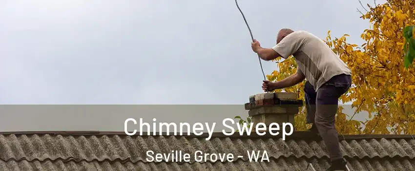 Chimney Sweep Seville Grove - WA