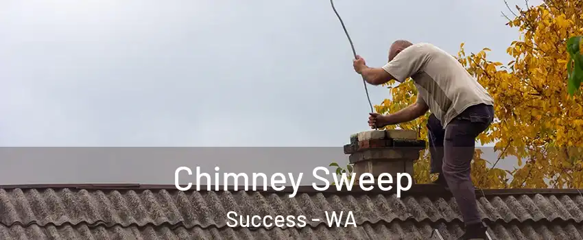 Chimney Sweep Success - WA