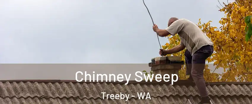 Chimney Sweep Treeby - WA