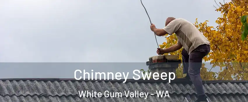 Chimney Sweep White Gum Valley - WA