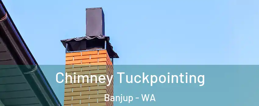 Chimney Tuckpointing Banjup - WA