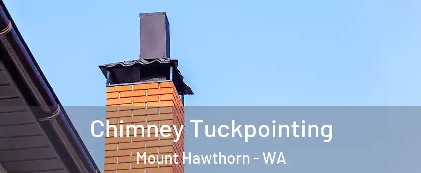 Chimney Tuckpointing Mount Hawthorn - WA
