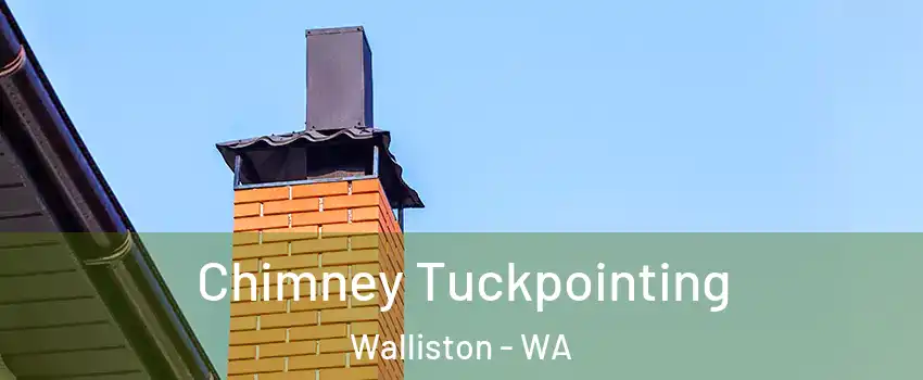 Chimney Tuckpointing Walliston - WA