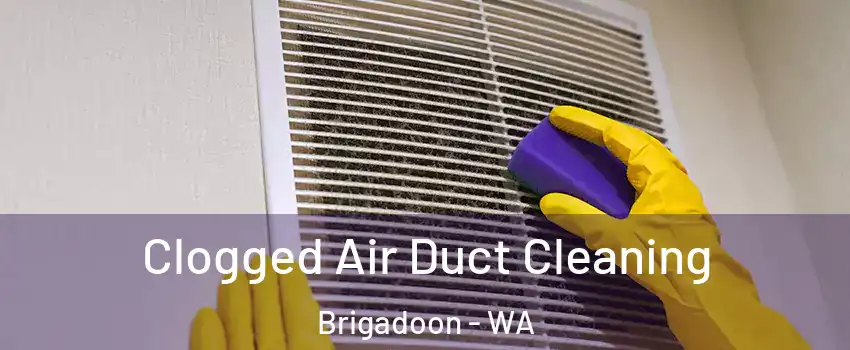 Clogged Air Duct Cleaning Brigadoon - WA