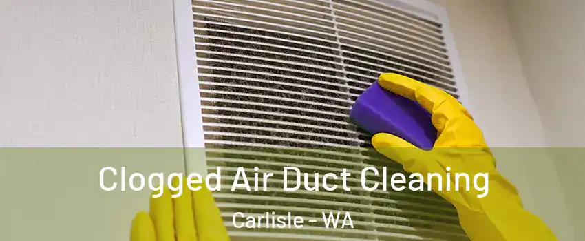 Clogged Air Duct Cleaning Carlisle - WA