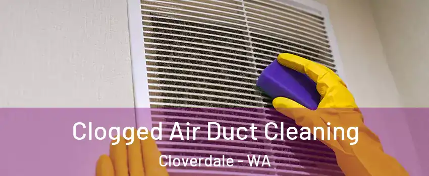 Clogged Air Duct Cleaning Cloverdale - WA