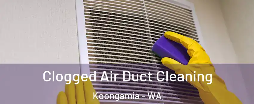 Clogged Air Duct Cleaning Koongamia - WA