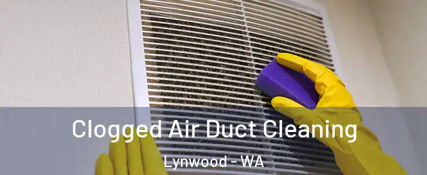 Clogged Air Duct Cleaning Lynwood - WA