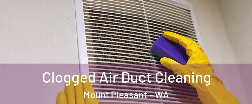 Clogged Air Duct Cleaning Mount Pleasant - WA