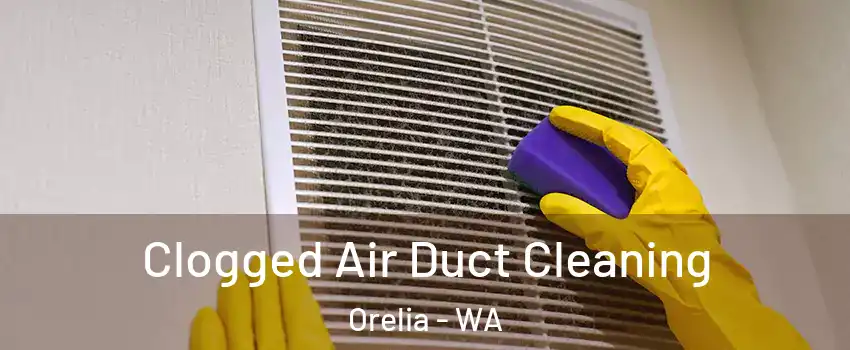 Clogged Air Duct Cleaning Orelia - WA