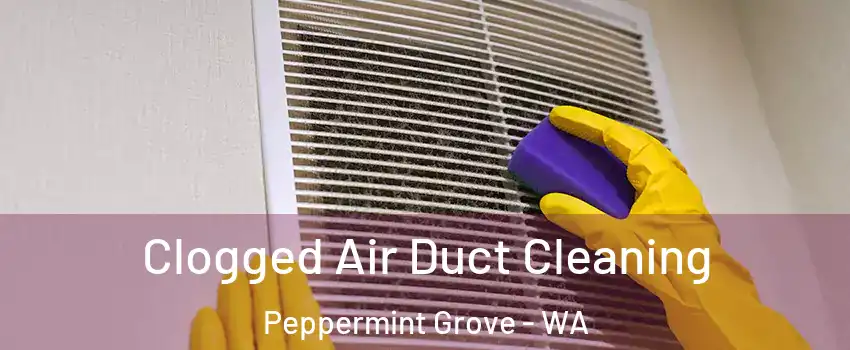 Clogged Air Duct Cleaning Peppermint Grove - WA