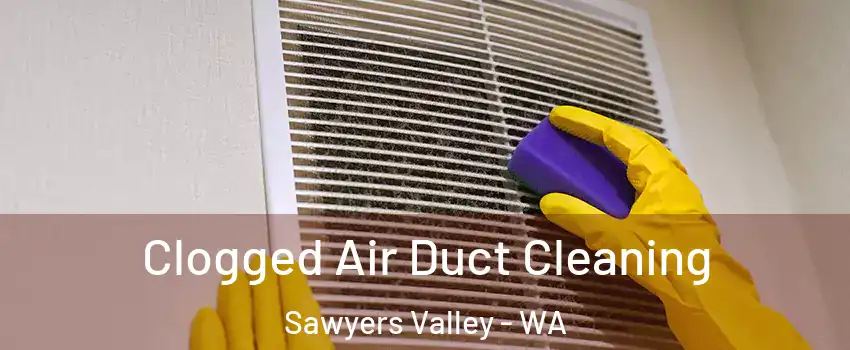 Clogged Air Duct Cleaning Sawyers Valley - WA