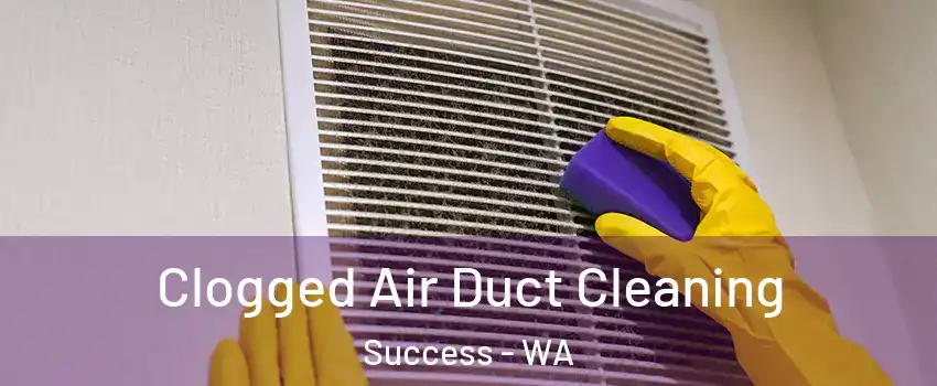 Clogged Air Duct Cleaning Success - WA