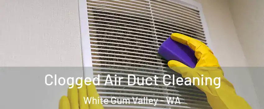 Clogged Air Duct Cleaning White Gum Valley - WA