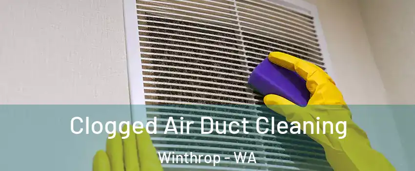 Clogged Air Duct Cleaning Winthrop - WA