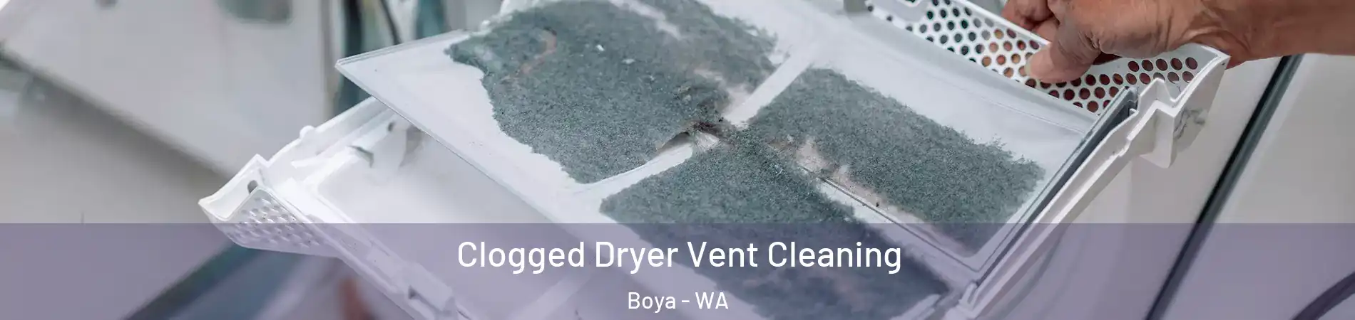 Clogged Dryer Vent Cleaning Boya - WA