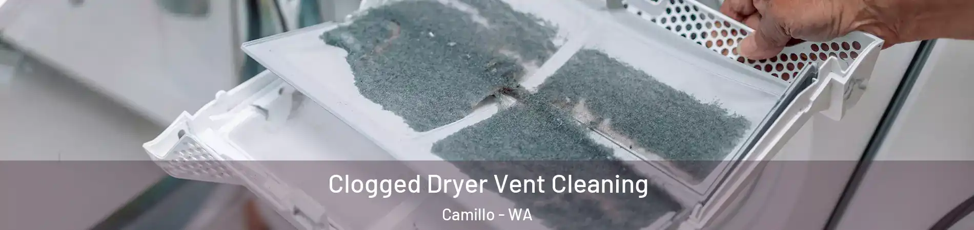 Clogged Dryer Vent Cleaning Camillo - WA