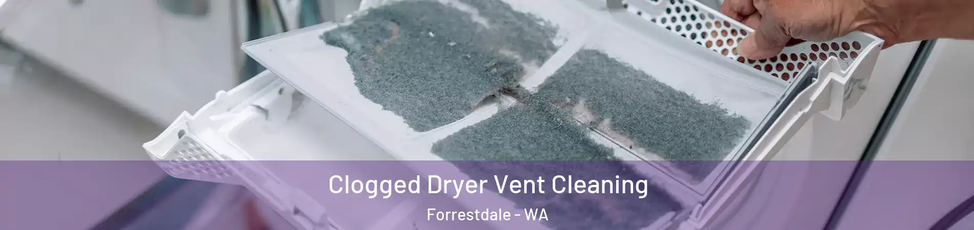  Clogged Dryer Vent Cleaning Forrestdale - WA