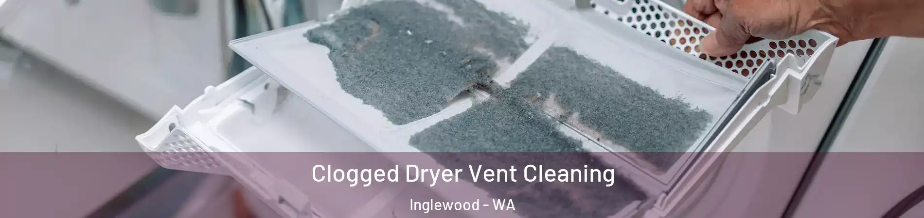 Clogged Dryer Vent Cleaning Inglewood - WA