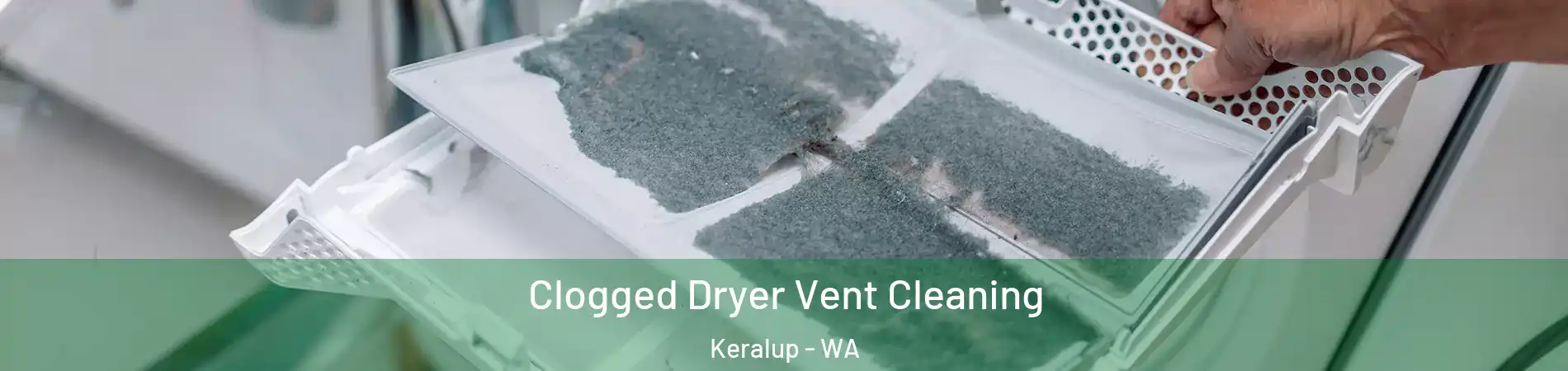 Clogged Dryer Vent Cleaning Keralup - WA
