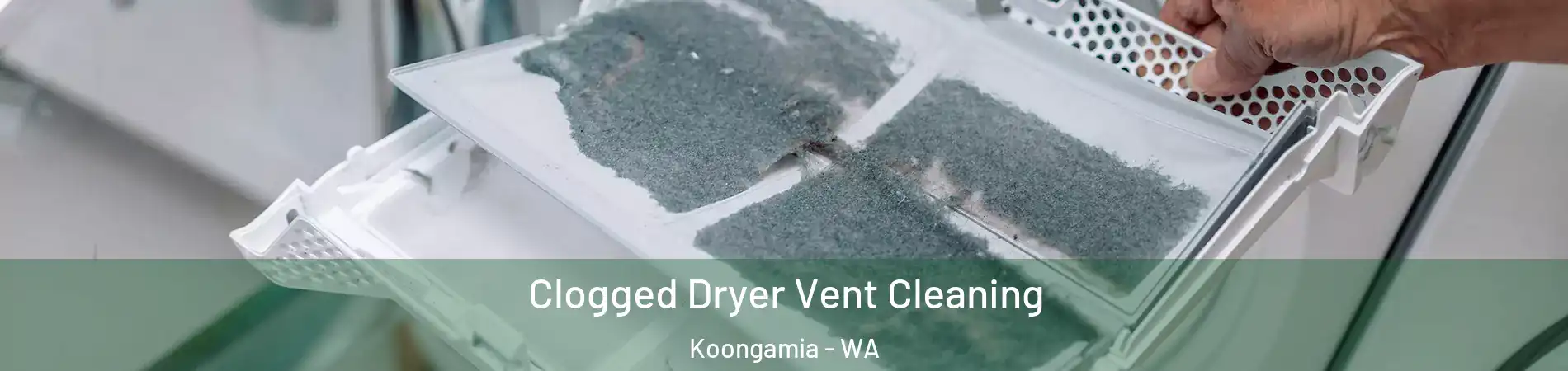 Clogged Dryer Vent Cleaning Koongamia - WA