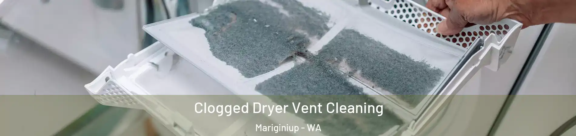 Clogged Dryer Vent Cleaning Mariginiup - WA