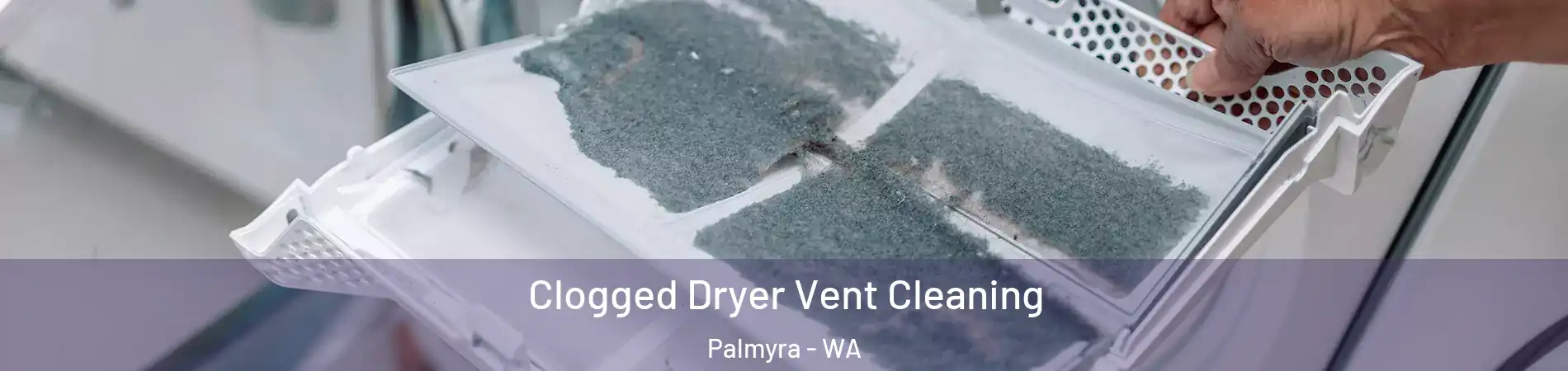 Clogged Dryer Vent Cleaning Palmyra - WA