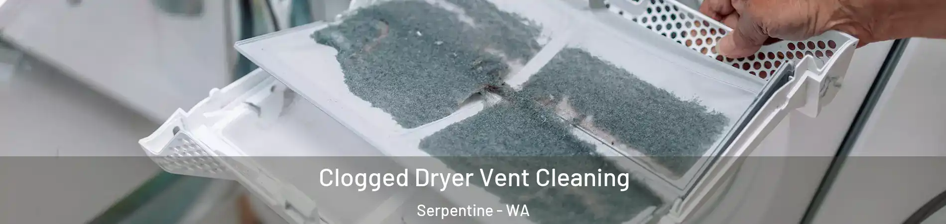 Clogged Dryer Vent Cleaning Serpentine - WA