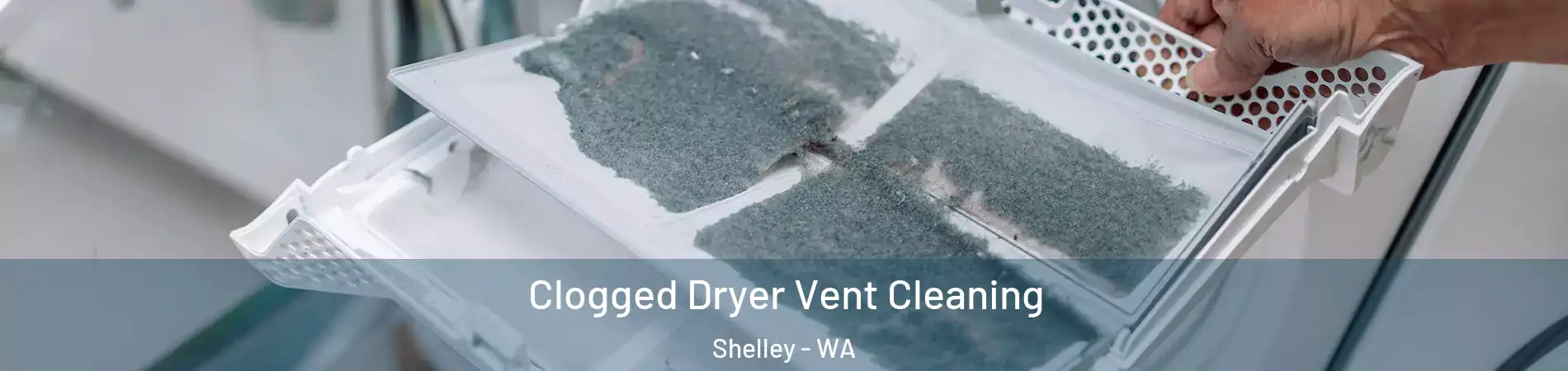 Clogged Dryer Vent Cleaning Shelley - WA