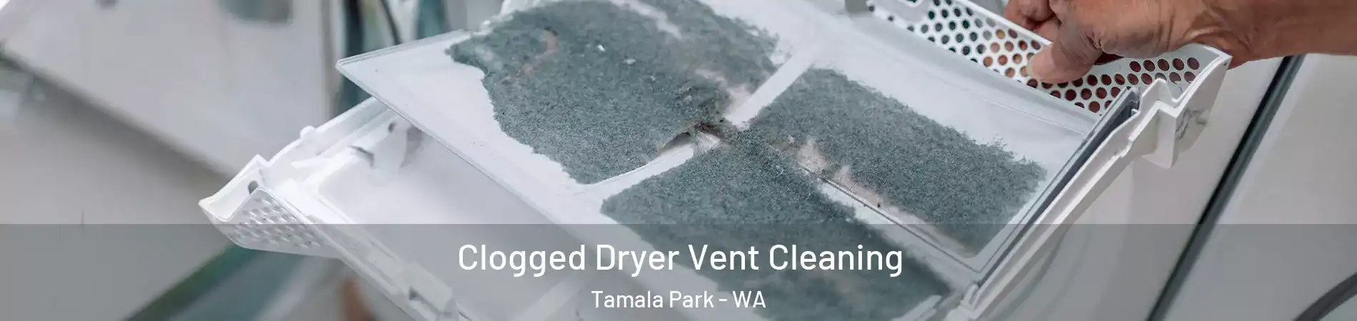 Clogged Dryer Vent Cleaning Tamala Park - WA