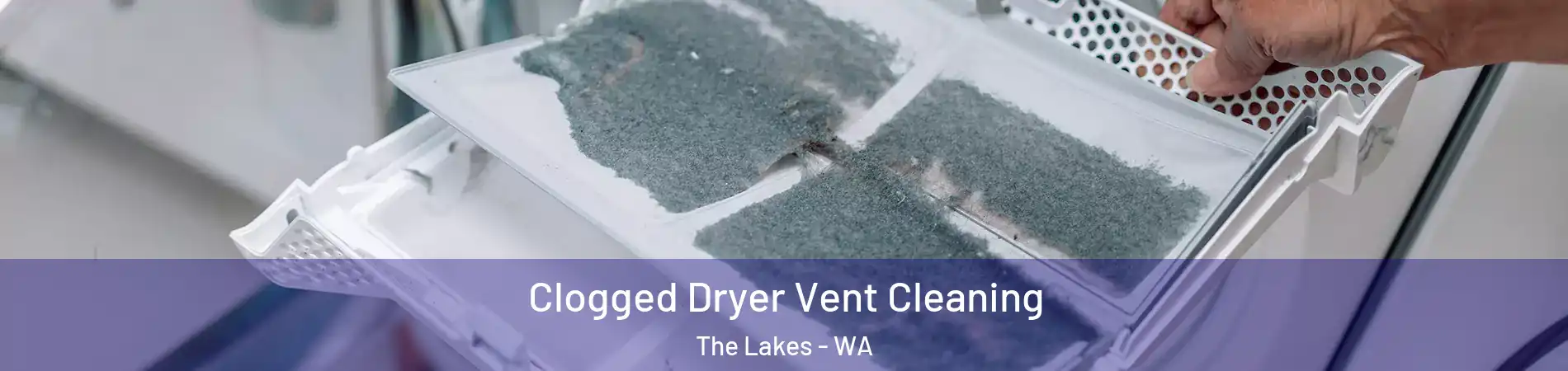 Clogged Dryer Vent Cleaning The Lakes - WA