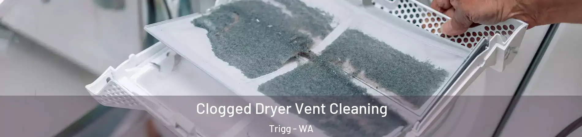 Clogged Dryer Vent Cleaning Trigg - WA